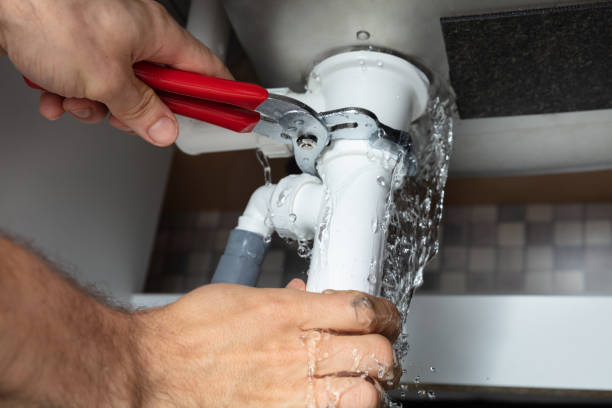 Best Water damage restoration mold remediation  in Itta Bena, MS