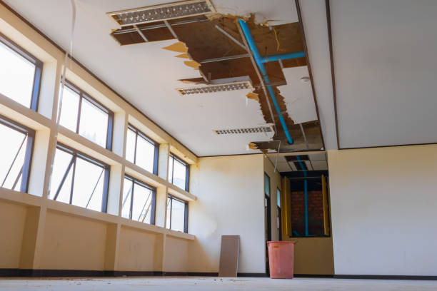 Best Water damage contractors near me  in Itta Bena, MS