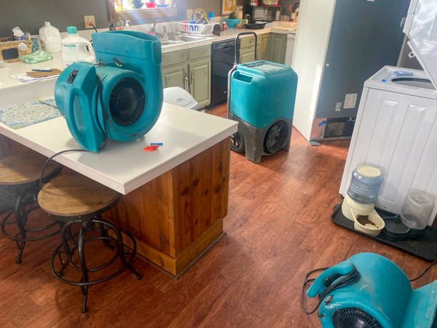  Itta Bena, MS Water damage restoration Pros